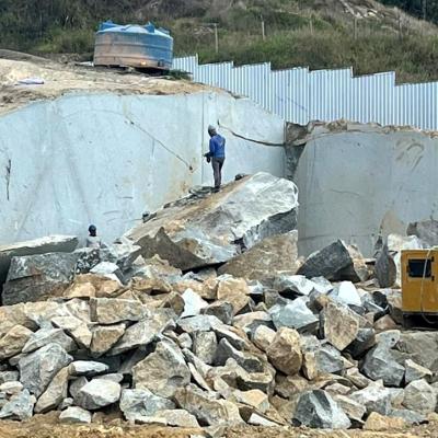 Whatsapp Image 2025 12 24 At 12.53.342